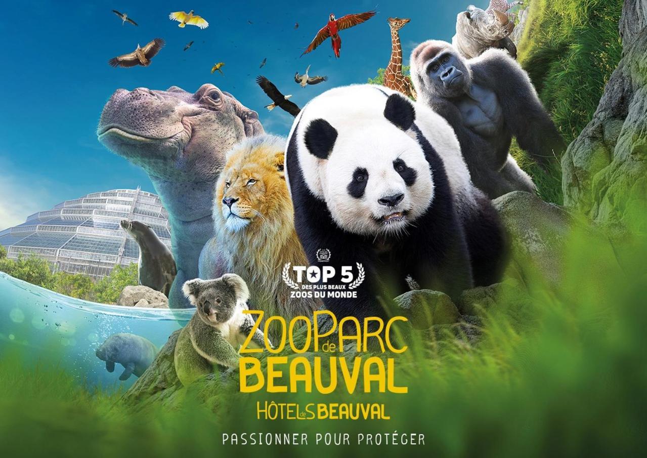 Studio Paon D'Or, 5 Minutes Du Zooparc De Beauval Saint-Aignan  Extérieur photo
